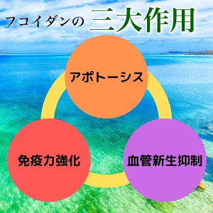 Viên uống hỗ trợ điều trị ung thư Kanehide Bio Okinawa Fucoidan xanh 180 viên - Ảnh 5